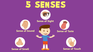 The first 5 steps signify Panchendriyas (five human senses with which we perceive the world) - Visual (vision), Auditory (hearing), Olfactory (smell), Gustatory (taste) and Tactile (touch).