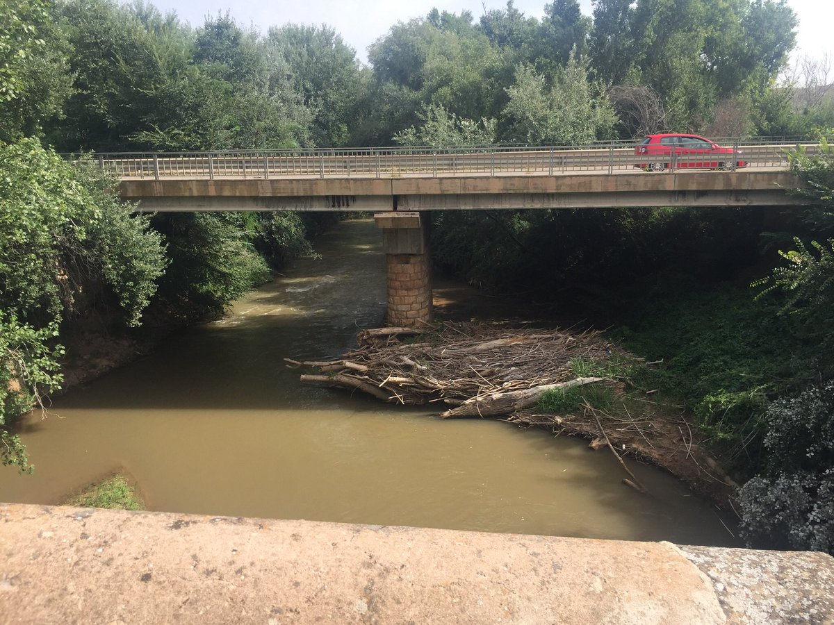 Sres de la #CHE, a la mínima denuncian por cortar alguna rama o cortar cañas. Tb es denunciable como está de suciedad y medio taponado el río Jalón a su paso por el puente de Epila. Estamos en tiempo de tormentas y avenidas....¿NO LO VE EL GUARDA DE LA CHE??? LÍMPIENLO YA!!