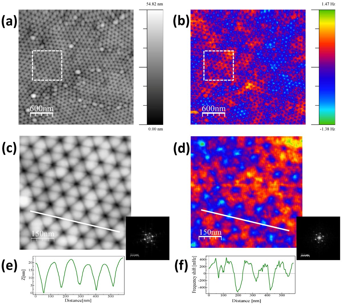 budgetsensors's tweet photo. Tailoring the magnetization process of the magnetic materials studied with BudgetSensors MagneticMulti75-G MFM AFM probes.
#AFMProbes #AtomicForceMicroscopy #MFMProbes #MagneticForceMicroscopy
https://t.co/DeNIwJbPTv https://t.co/SgtVf69680