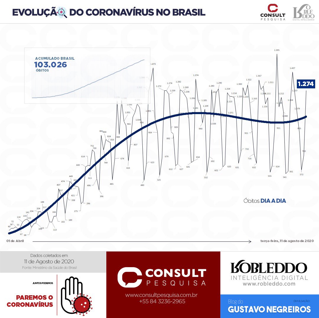 pauloconsult tweet media