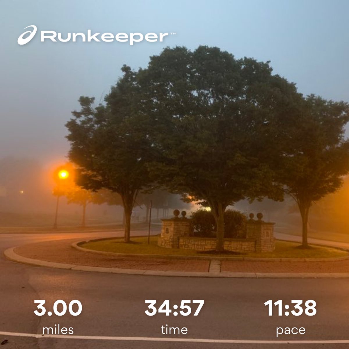 Foggy morning run #runnjngtolose