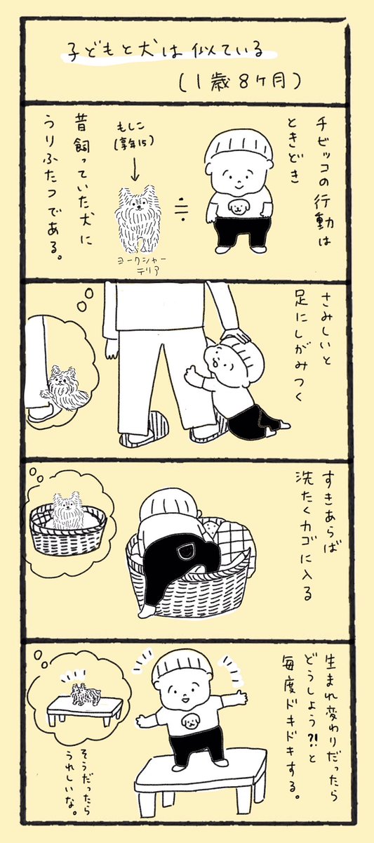 子どもと犬は似ている(1歳8ヶ月)

#育児日記 #育児漫画 #育児絵日記 #4コマ 