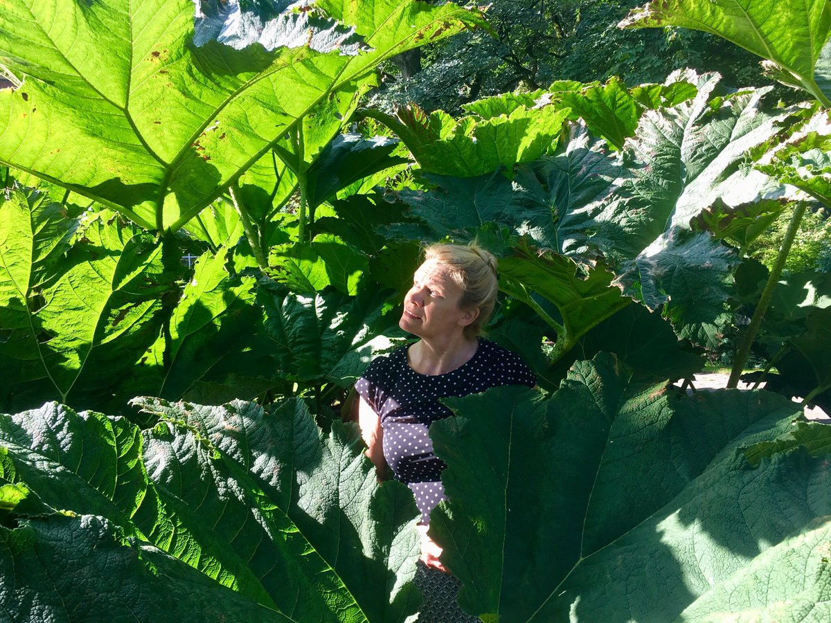 Hallo, ben je benieuwd naar wat mij 🌱dagelijks ☘️inspireert🌞Graag neem ik je mee op mijn #Instagram. Je kunt mij volgen op instagram.com/jacoliendejong…. Dan volg ik jou en ontmoeten wij elkaar daar. Tot ziens