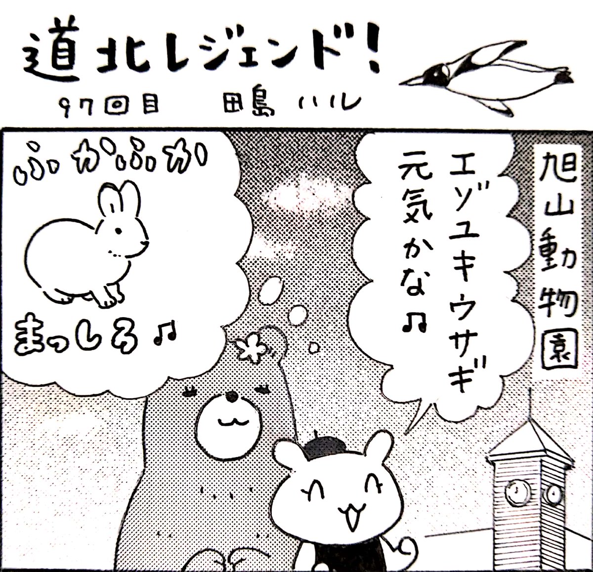 本日13日の北海道新聞夕刊旭川面に漫画 #道北レジェンド !載ってます。旭山動物園にいるエゾユキウサギの姿に衝撃!
北海道新聞をご購読されている方は道新Webから漫画を読むことができます→https://t.co/wLmG8JJrYI 