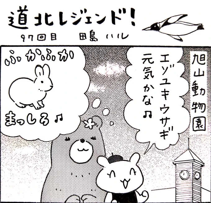 本日13日の北海道新聞夕刊旭川面に漫画 #道北レジェンド !載ってます。旭山動物園にいるエゾユキウサギの姿に衝撃!北海道新聞をご購読されている方は道新Webから漫画を読むことができます→ 