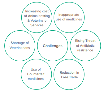6/ Major Challenges•Inappropriate use of medicines•Rising Threat of Antibiotic resistance•Reduction in Free Trade•Use of Counterfeit medicines•Shortage of Veterinarians•Increasing cost of Animal testing & Veterinary Services