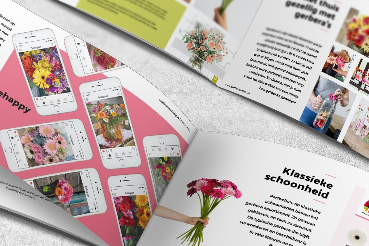 We proudly present our renewed brochure, which is full of inspiration! A refreshing overview of the most colourful and exclusive Gerberas from our assortment. <a href="/GerberaUnited/">Gerbera United</a>