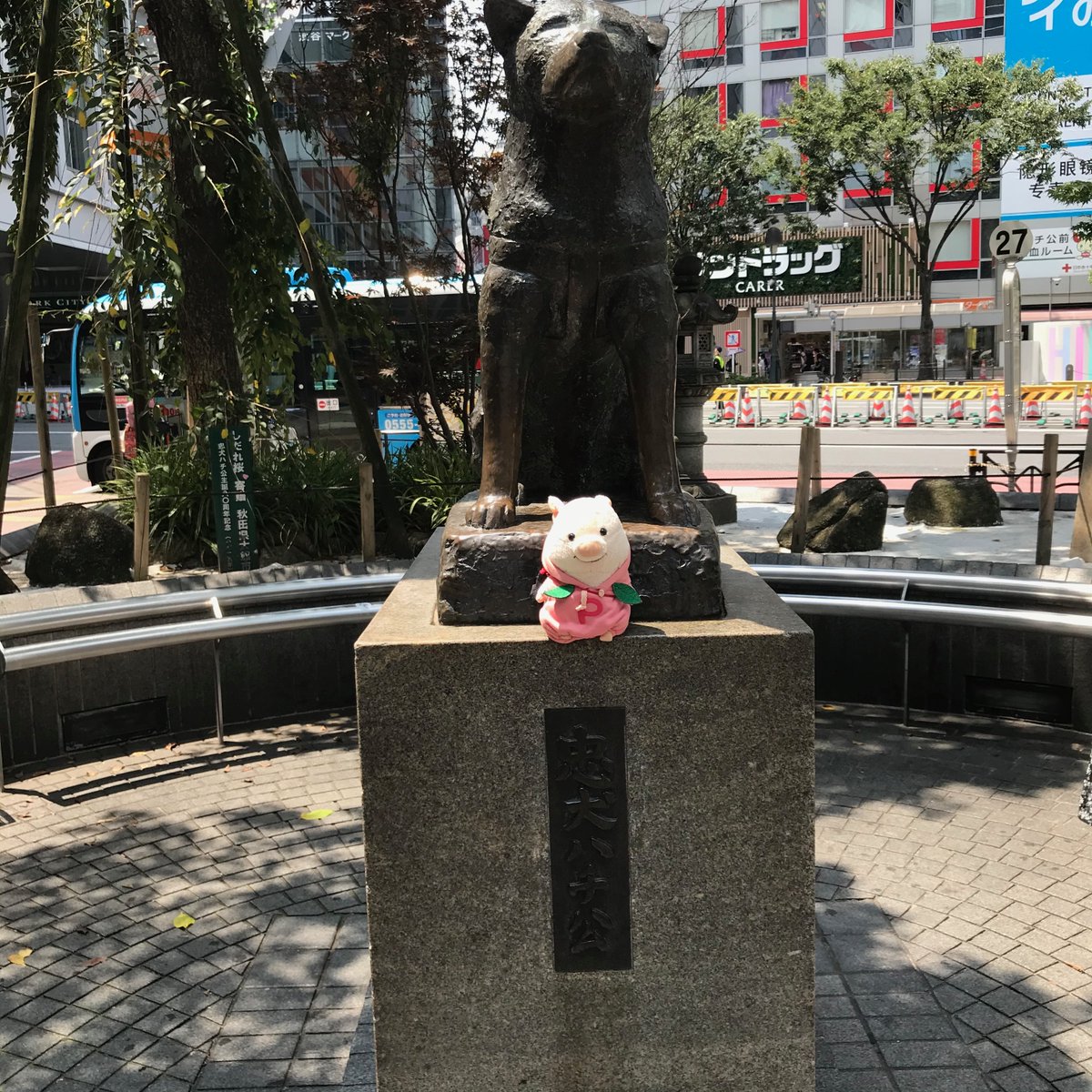 putonputon2014's tweet photo. 最後に #忠犬ハチ公 さんにご挨拶してきました。
#ぷーとん https://t.co/MlGcIxzMbq