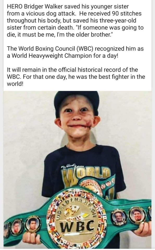 Samantha tweet media