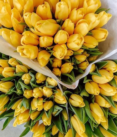 L0VECAF3's tweet photo. a bouquet of flowers has arrived for @aglarond !
from: anon

:DDDDDDDDDDDDDDDD heehee i miss nd love u beby :DDDDDDDDDDDD i duno wat say . but ye regardless of da time u get dese i hope u have/had a good day and will have another one tomorrow :DDDDDDDDD https://t.co/r50X2fRz4C