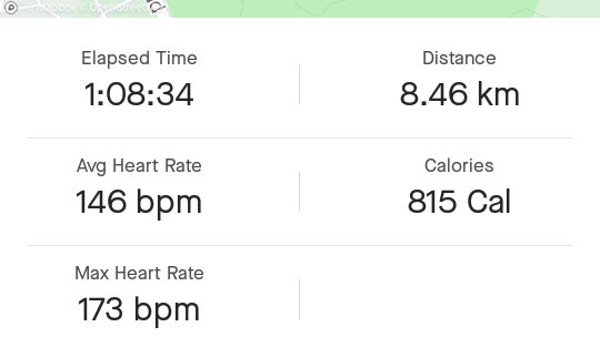 MTNDZML's tweet image. Hill repeats done and dusted.  #FetchYourBody2020 #HalfManHalfMachine #NinjaRunner