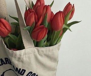 L0VECAF3's tweet photo. a bouquet of flowers has arrived for @REDSRlOT !
from: anon https://t.co/Rl2GT3UzPP