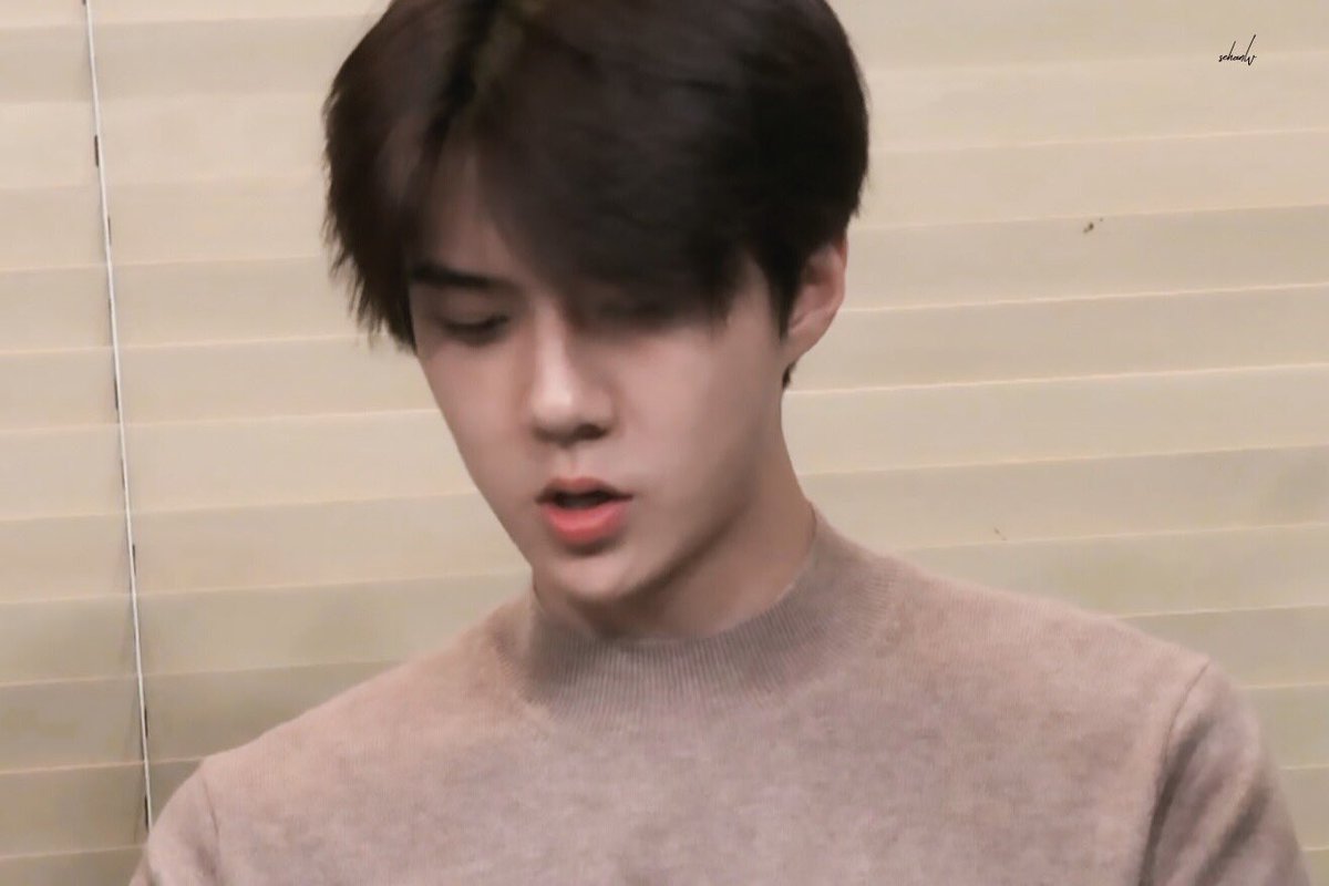 sehunpicture's tweet photo. 🍪 사랑하는 세훈시 🍪 https://t.co/AVMfz8KC13