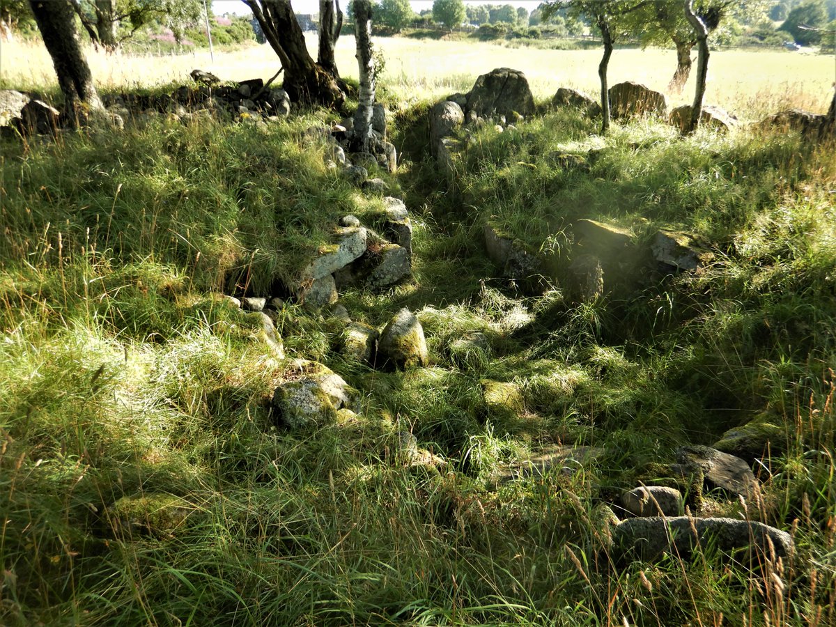 PeteCrane5's tweet photo. This Clava style chambered cairn at Avielochan nr #Aviemore in #Cairngorms may be 4,000 years old. Built so  at 'standstill the southern moon would rise over the spectacular Cairngorm range'. 

More info https://t.co/rzZbCrmLsR &amp;  https://t.co/5eiX7pSMzi… https://t.co/yMiby5yltR