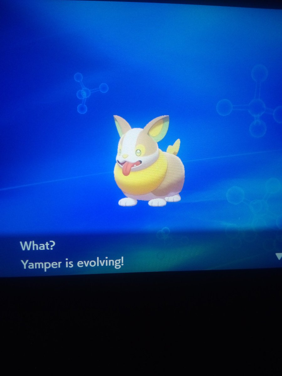 Chewtle and Yamper both evolved post-battle and one of my core team members is fully evolved now 