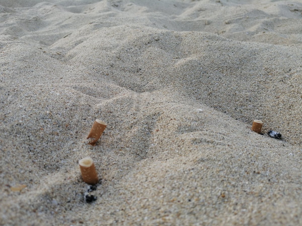 xesc_ferrer's tweet photo. Això no pot seguir així, és un problema greu. N'hi ha per tot! Per què els ajuntaments (tots i per tot) no prohibeixen fumar a la platja? @FELIB_info https://t.co/DKHz6pfAtq