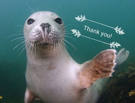 A massive #Thankyou  to players  of @PostcodeLottery for raising an incredible total of £600million for hundreds of charities & good causes!! Including supporting @mcsuk where you are helping us to ensure our Seas are Full of Life 🌊 #TogetherForCharity