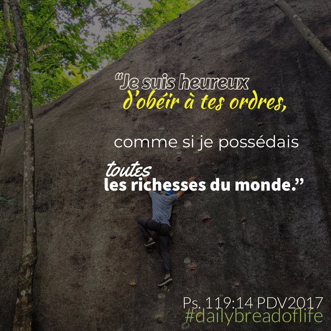 Daily Bread Of Life I Find More Joy In Following What You Tell Me To Do Than In Chasing After All The Wealth Of The World Psalms 119 14 Tpt