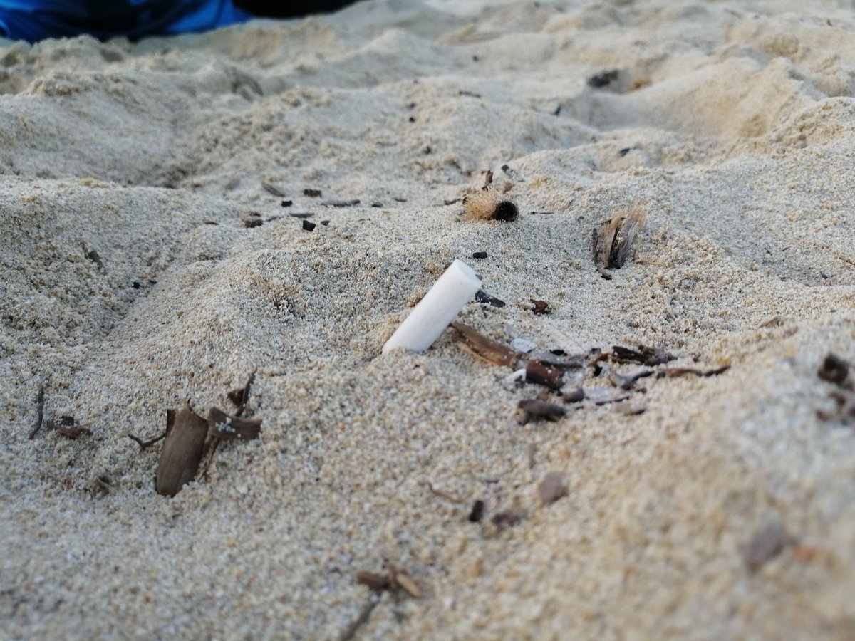 xesc_ferrer's tweet photo. Això no pot seguir així, és un problema greu. N'hi ha per tot! Per què els ajuntaments (tots i per tot) no prohibeixen fumar a la platja? @FELIB_info https://t.co/DKHz6pfAtq