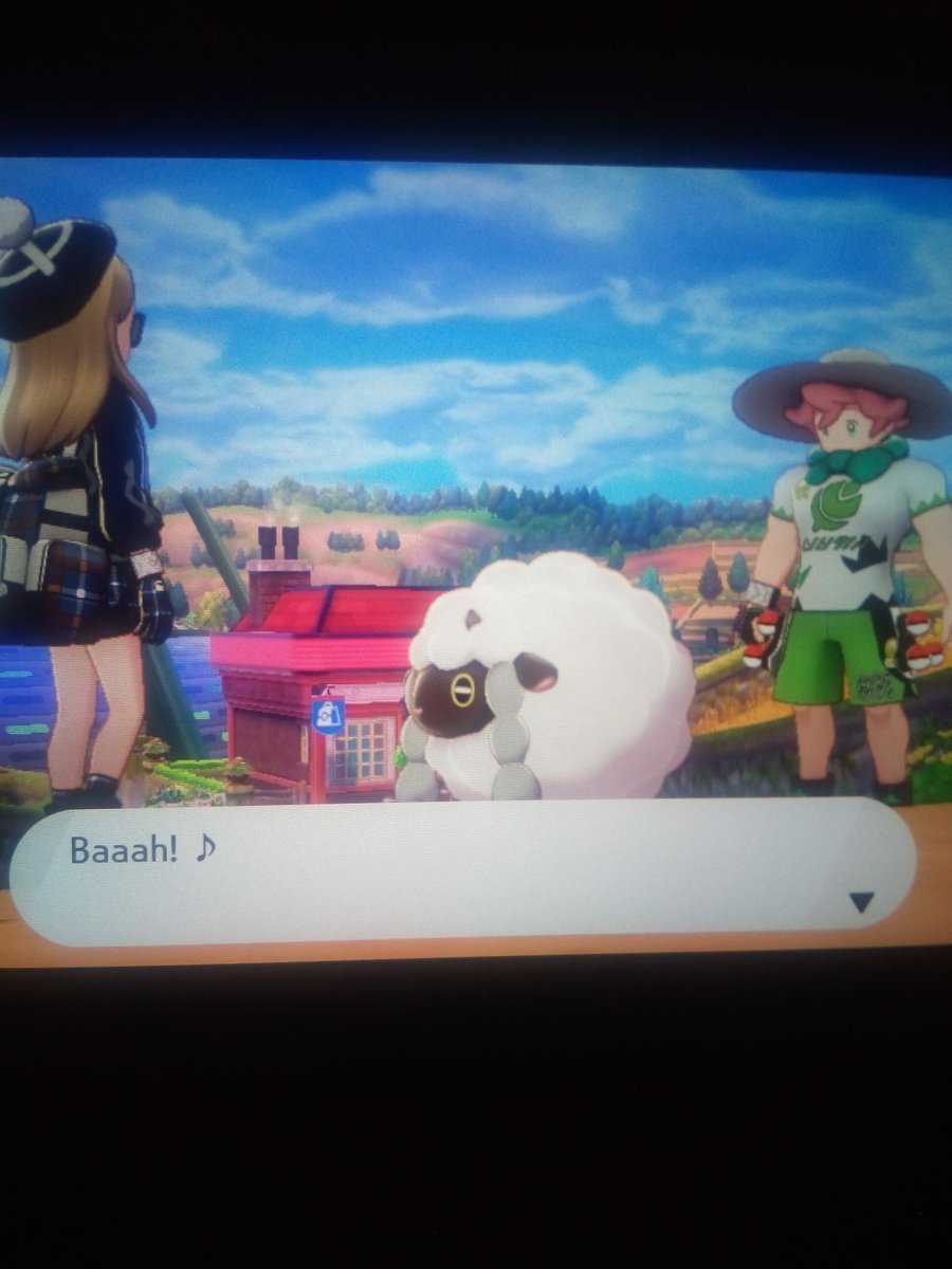 Why would Wooloo be in a Grass-type Gym Leader's stadium?