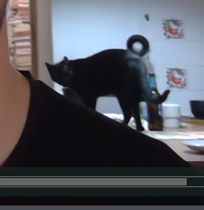 psignificant's tweet photo. when a cat appears at the 1 min highlights :D :D good start #stancon2020 https://t.co/o7pYmAMdOe