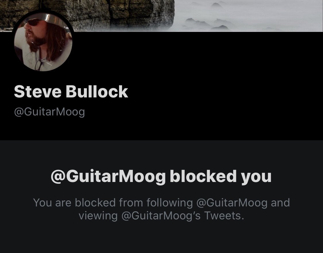 It is genuinely a very sad shame that I got blocked by this guy. He is someone for whom I have a lot of respect and whom I’ve learned heaps from during the referendum years. I honestly try to understand the plight and motivation of people who vote Leave.