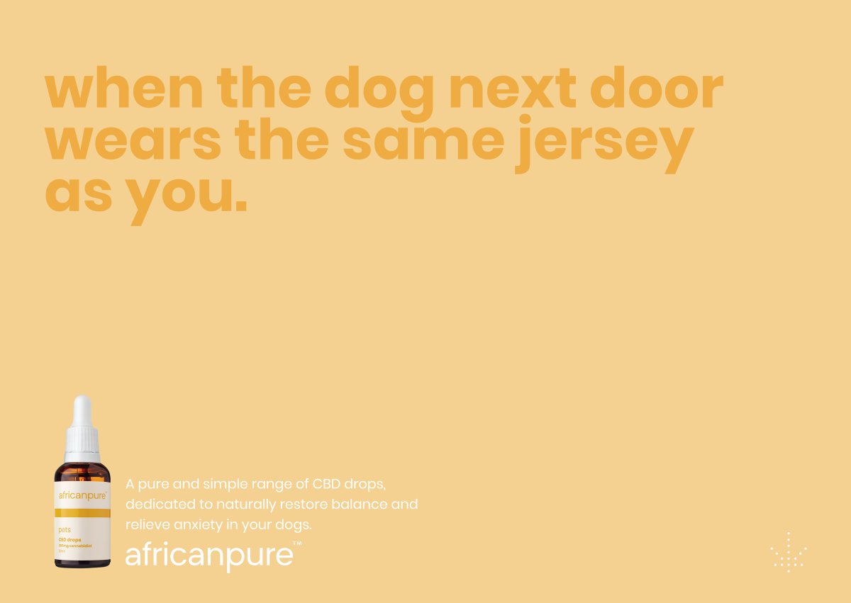 I found this set of print ads for Africanpure CBD oil interesting for a very specific reason. The ads, by South African agency Canvas uses funny headlines that refer to situations that may cause anxiety. Not in humans, but in dogs... this is something you realize fully—you 1/3