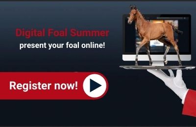 ClipMyHorse's tweet photo. You want your foal to be presented online and increase your sales reach?🔝💯 👉🏼 Register now and take advantage of our online foals portal!
▶️ https://t.co/bLovTjSSq0
#foals #fohlen #online #digital #foalsummer #ClipMyHorse #CMHtv https://t.co/f1kcMMSDGU