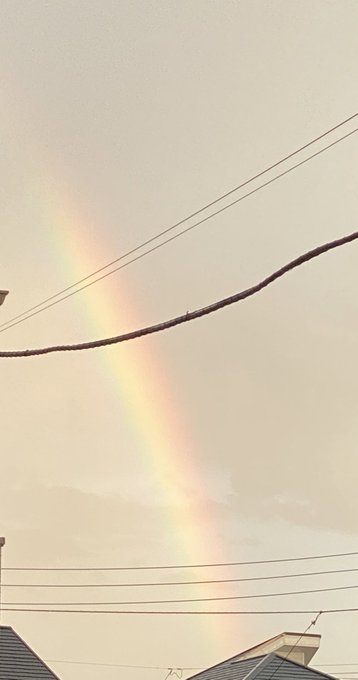 虹だ!(浅草の中休憩映像思い出して笑ってしまった) 