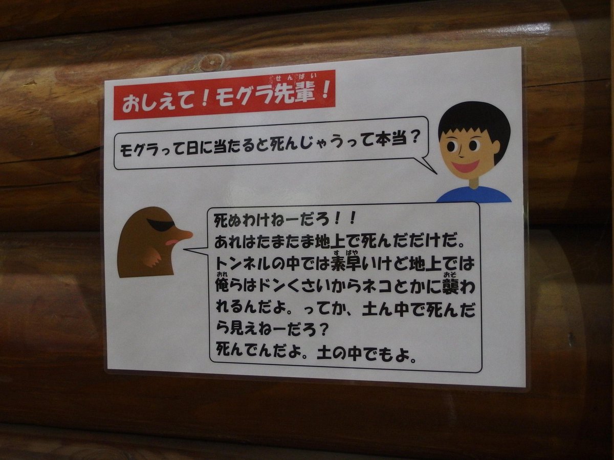 yeskiri's tweet photo. 辛辣で草 https://t.co/ZEuy8WgJW0