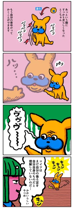 【絵日記】
子犬が少し大きくなりました 