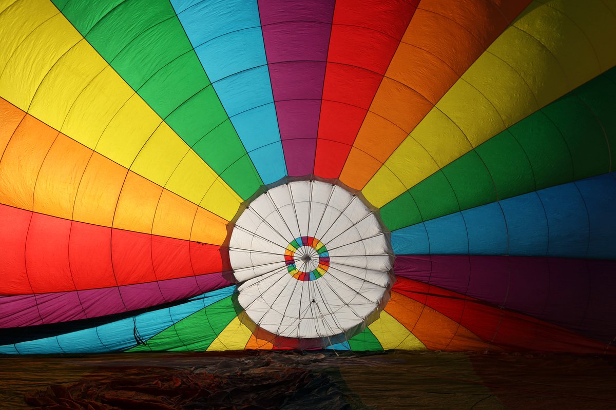 carolynstuart tweet media