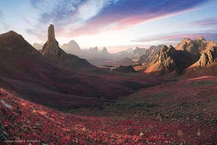 meladahmed15's tweet photo. مساوئ الإستقرار في #فلسفة أهل #الصحراء الكُبرى، يعبر عنها الكوني (المبدع في توظيف التراث) في أخبار الطوفان الثاني:
"كلما بقيت مدة أطول تكونت حولك الأشياء العديمة النفع، ومع الوقت يمكن لهذه الأشياء أن تنهار على رأسك فتكتم أنفاسك!.
#twareg #Libya https://t.co/KKAM0GYhnN