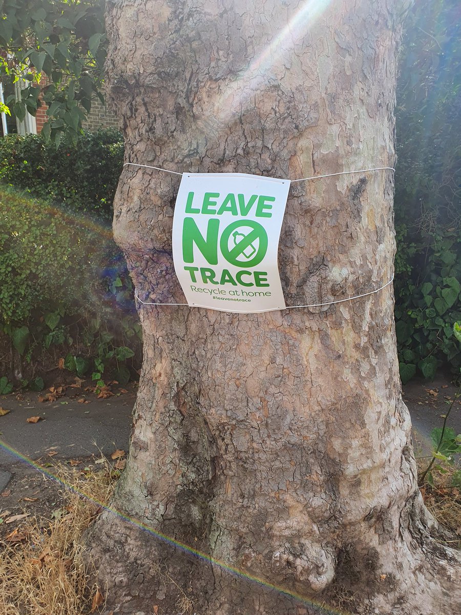 Ekofriendly1's tweet photo. My pick of the day. Lots of #cigarettes, the usual #plastic packaging for menthol cigarette filters. And this by just walking 100m straight line into the park... #LeaveNoTrace #keepyourlitter #saveourplanet #econogy https://t.co/HuX7YsLC6P