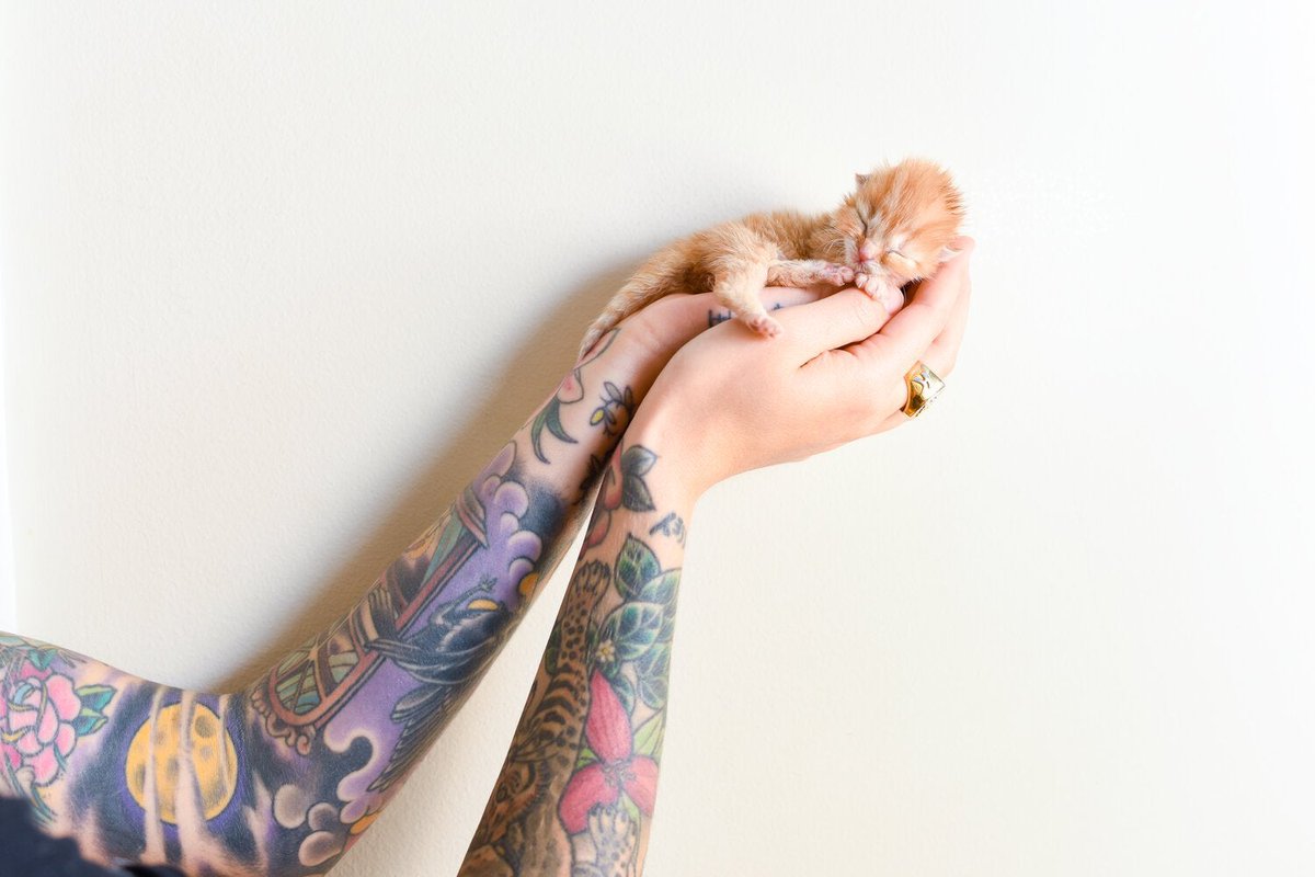 MeowMoeDotCom's tweet image. Did you know? The most #Euthanized #Group of #Animals in the US are #Kittens under 8 #Weeks of #Age - and together we can ...
 
#Cats #Cat #Kittens #Kitten #Kitty #Pets #Pet #Meow #Moe #CuteCats #CuteCat #CuteKittens #CuteKitten #MeowMoe 
 
meowmoe.com/700138/did-you…