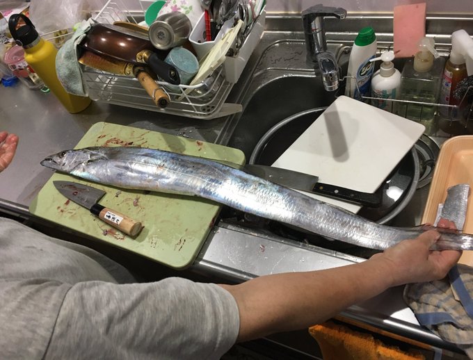 太刀魚‼️たまごも 