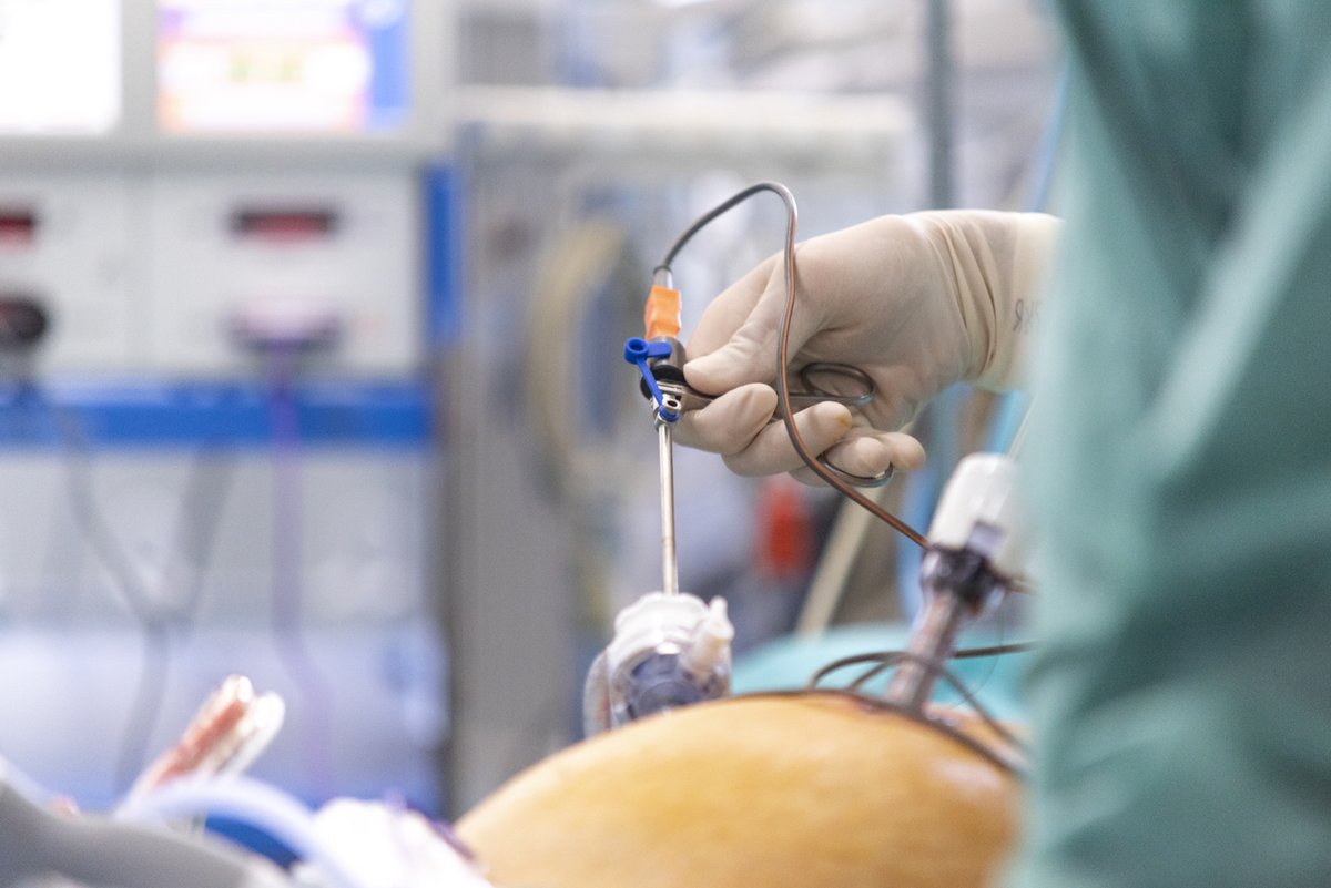 Chu De Lille On Twitter Jeudiphoto Notre Rdv Hebdomadaire Pour Vous Faire Decouvrir Des Cliches Esthetiques Intrigants Captivants Photographies Ici Au Chu De Lille Cette Semaine Intervention Au Bloc Operatoire