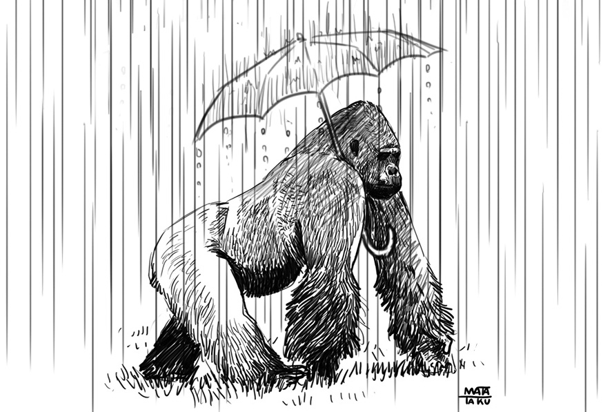 ゴリラゲイ雨ってトレンドに入ってるけど なぜそんな言葉が 瞬く 絵のお仕事募集中 の漫画