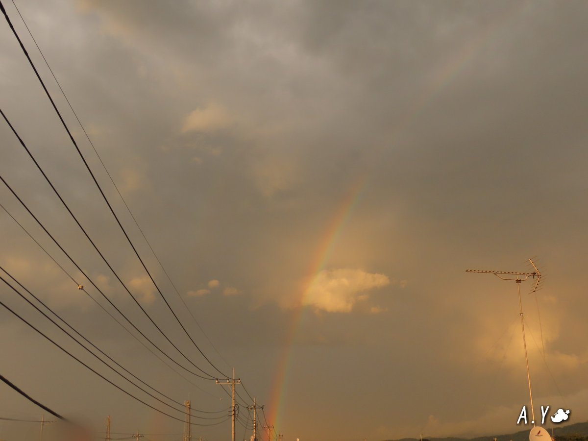 yumeasutw's tweet photo. 雨が上がったら、 #虹 が出ました🌈✨

まだ、⚡遠雷が聞こえますが、北東の空に半分だけの二重の虹が👀‼️
はっきり色付いて、久しぶりの虹にチョッと興奮です😆💕

#いまそら #イマソラ
#夕空 #夕焼け #鉄塔 #電線
#空の名前
#雲の教室
#ゴールデンアワー
#a2020 #a08013 #a202008 #a2020083 https://t.co/FtfHvti2Zj