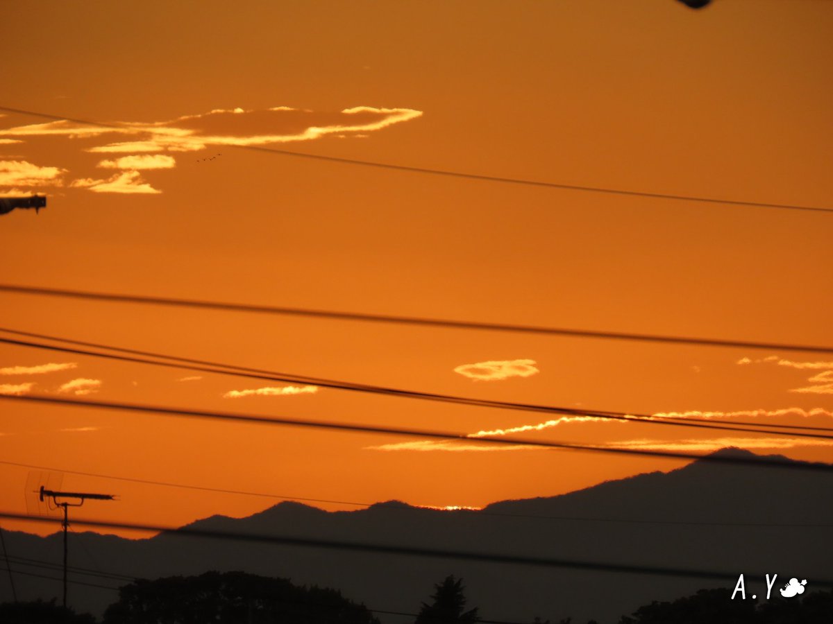 yumeasutw's tweet photo. 雨が上がったら、 #虹 が出ました🌈✨

まだ、⚡遠雷が聞こえますが、北東の空に半分だけの二重の虹が👀‼️
はっきり色付いて、久しぶりの虹にチョッと興奮です😆💕

#いまそら #イマソラ
#夕空 #夕焼け #鉄塔 #電線
#空の名前
#雲の教室
#ゴールデンアワー
#a2020 #a08013 #a202008 #a2020083 https://t.co/FtfHvti2Zj