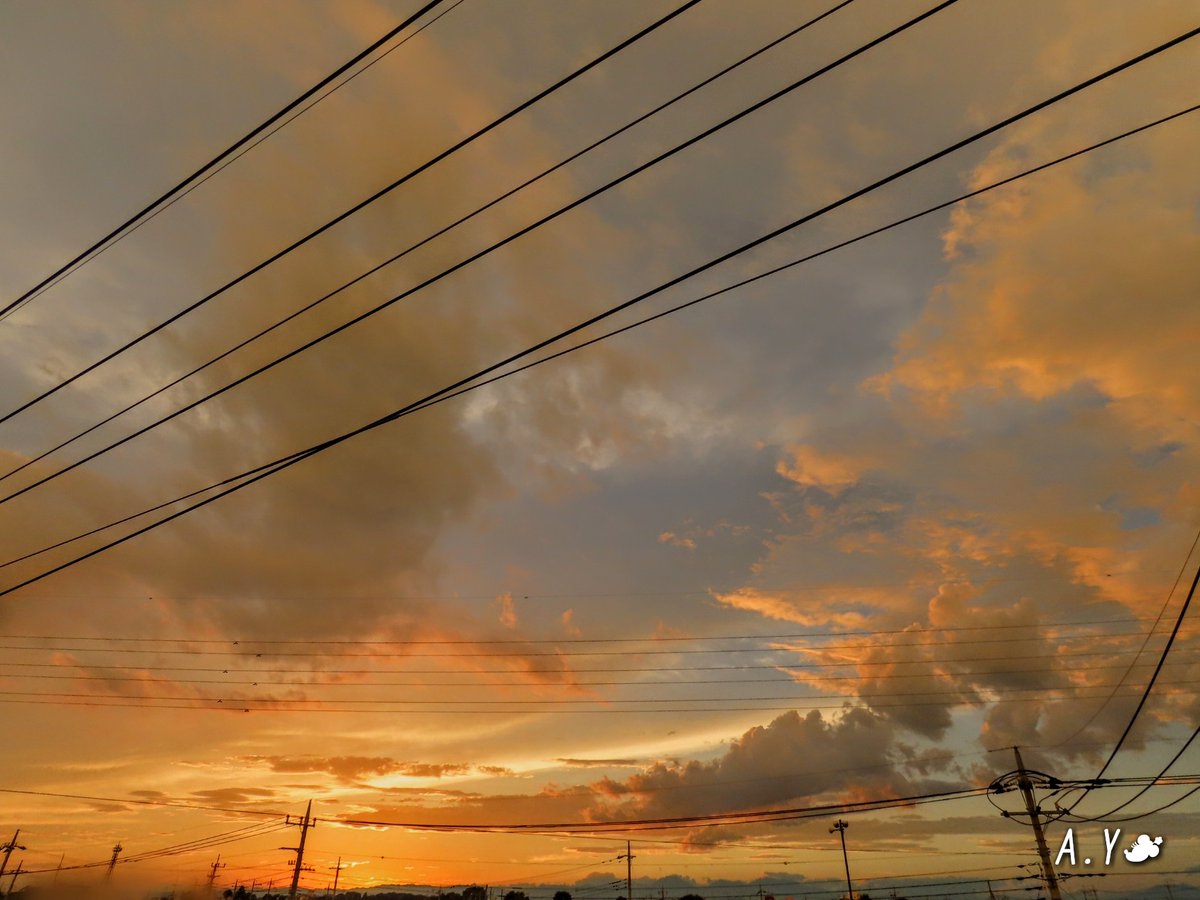 yumeasutw's tweet photo. 雨が上がったら、 #虹 が出ました🌈✨

まだ、⚡遠雷が聞こえますが、北東の空に半分だけの二重の虹が👀‼️
はっきり色付いて、久しぶりの虹にチョッと興奮です😆💕

#いまそら #イマソラ
#夕空 #夕焼け #鉄塔 #電線
#空の名前
#雲の教室
#ゴールデンアワー
#a2020 #a08013 #a202008 #a2020083 https://t.co/FtfHvti2Zj