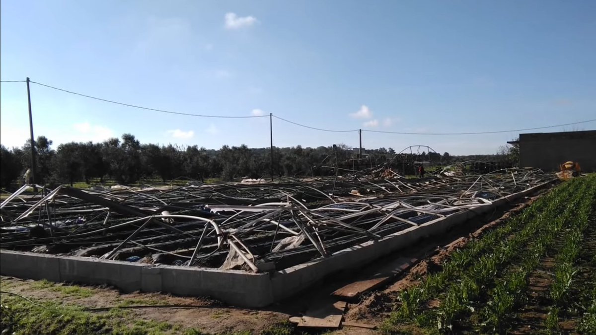 #2: likely F1 that damaged a cemetery and a few buildings. It also damaged or uprooted numerous trees and power poles, along with throwing a box and destroying two greenhouses