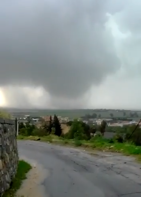 #6: likely F1 that damaged a little seaside forest and numerous roofs