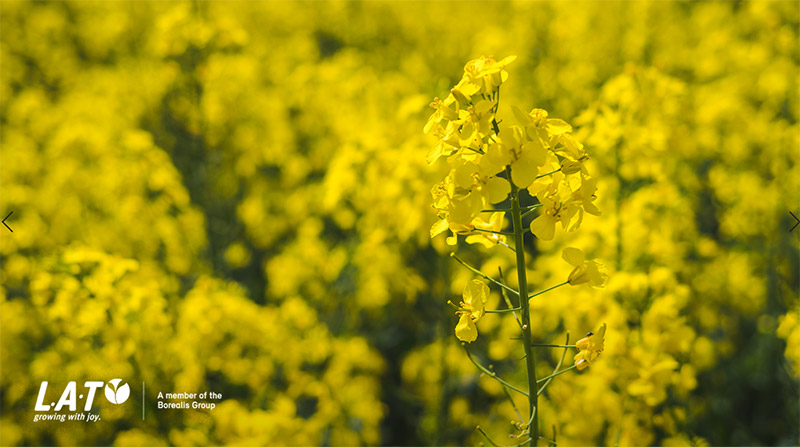 Im Herbst die Grundlage für hohe Rapserträge legen news.landwirt.com/?p=2808 
Wieviel Nährstoffe braucht #Raps?
In jedem Fall ist zu berücksichtigen, dass Raps auch ca. 125 kg SO3 benötigt.
#Ackerbau #Landwirtschaft