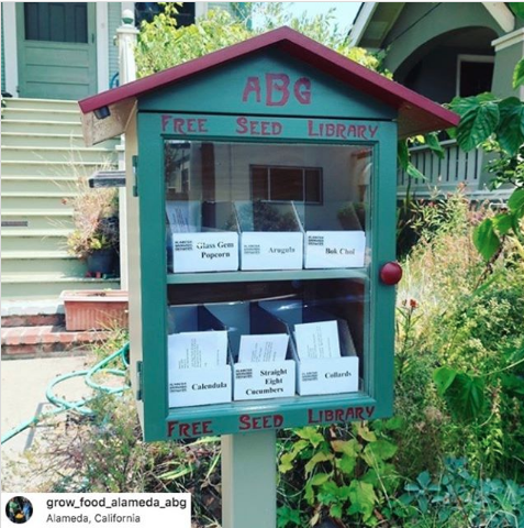 HolisticAlameda's tweet photo. LOVE this #AlamedaBackyardGrowers IG so much we reposted it! "Introducing ABG's new #FreeSeedLibrary at 2829 San Jose Ave. Featuring seasonally selected seeds for your garden. Please take what you will use. 1 packet will be enough for the average garden." https://t.co/BjX2qwCuy1 https://t.co/E4Ygjpn5Iz