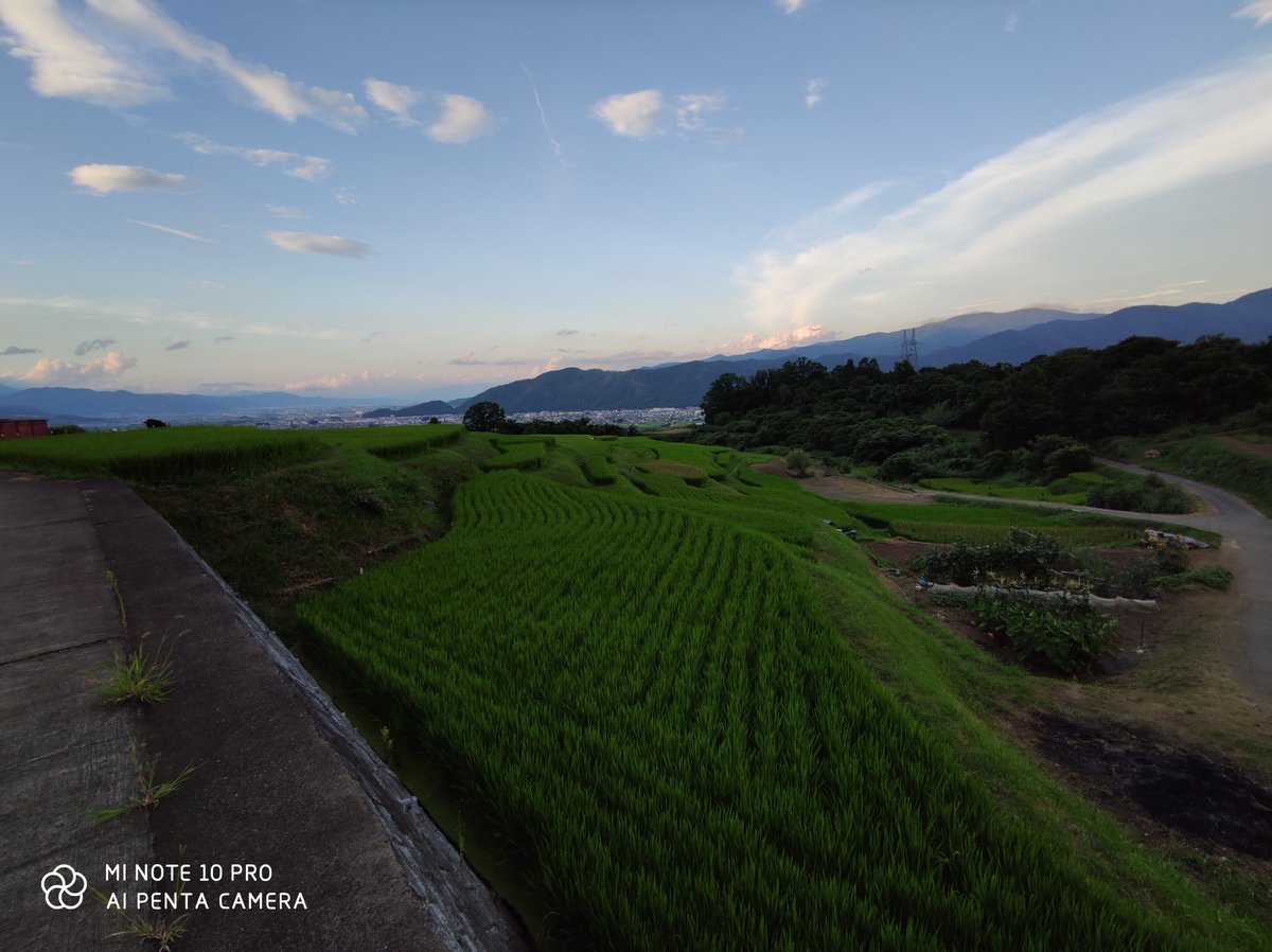 onmitsu_runout's tweet image. 超広角だと光の取り込みが少ないのかな？ #Minote10pro