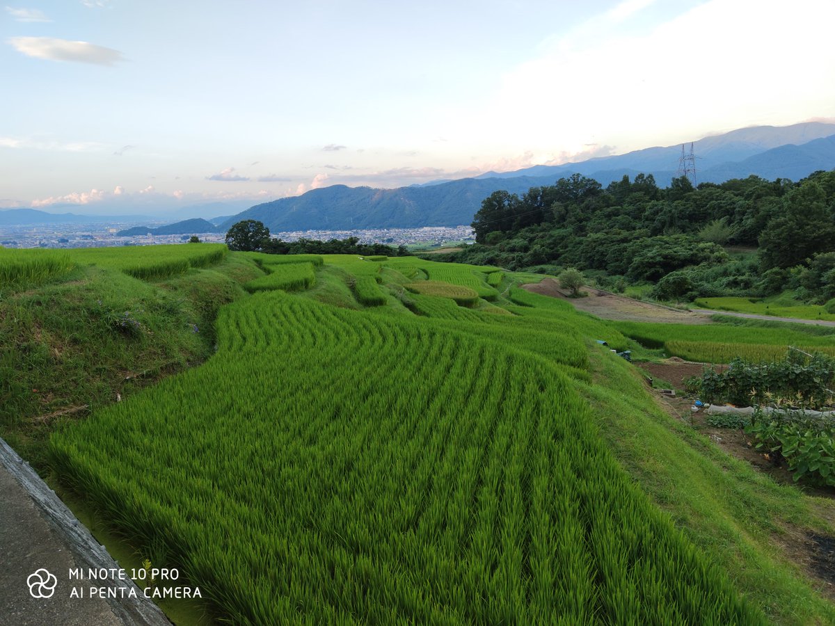 onmitsu_runout's tweet image. 超広角だと光の取り込みが少ないのかな？ #Minote10pro