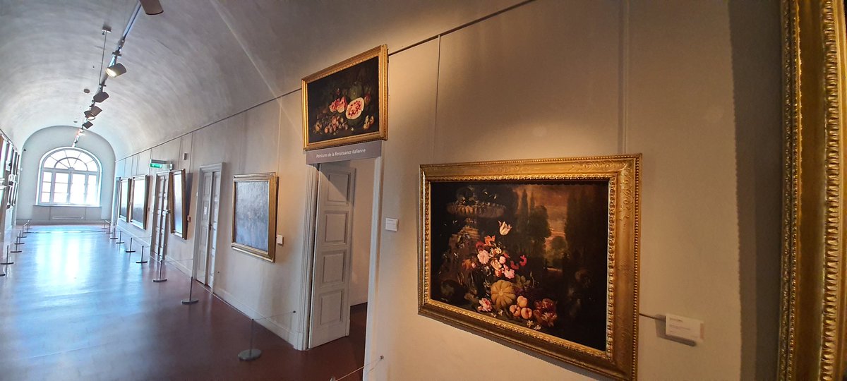 iicosium1's tweet photo. Musée Fesch d'Ajaccio #museeFesch https://t.co/t5bzS2cN4N