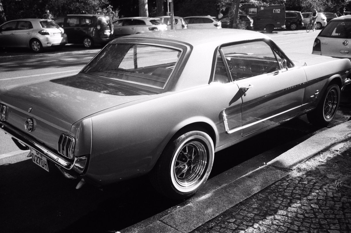 zaria__a's tweet photo. Black and white with Sunday. #35mm #filmphotography #yashicat3 https://t.co/GIlF5CtHRg