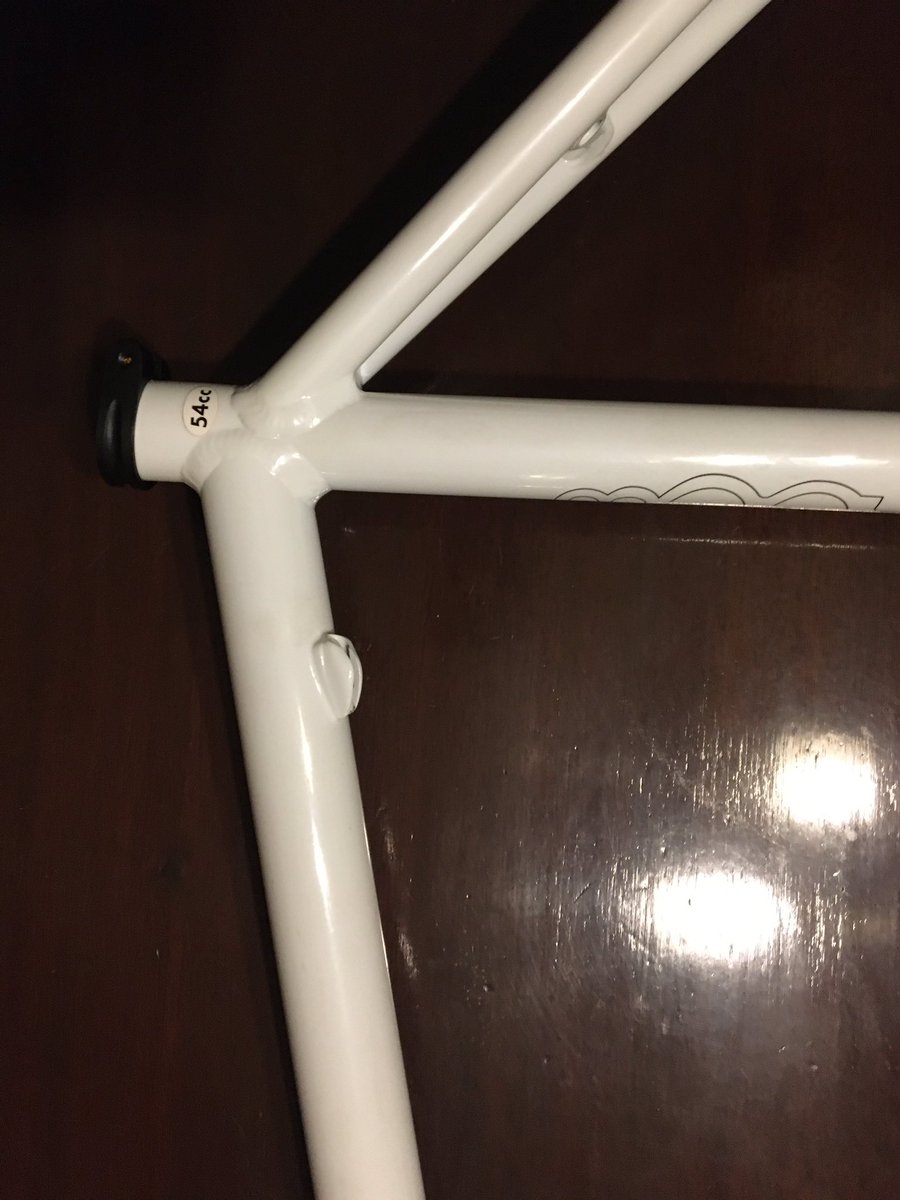 Life For Fixed tweet media